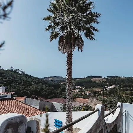 In Countryside - Caldas Da Rainha Outeiro (Leiria)
